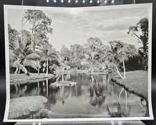 Jungle Larry's Safari Land Caribbean Gardens Naples Florida Gulf Coast Photo 