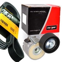 Contitech 6PK1318 Keilrippenriemen + Spanner FüR Grande Punto 1.3D