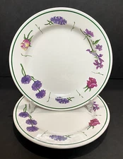 Williams-Sonoma WSO164 Salad Plates 8 7/8"  - Set of 2