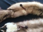 Bild 8 von 13