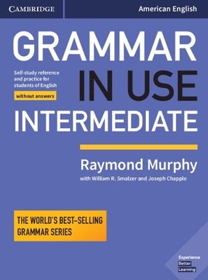 Raymond Murphy Grammar in Use Intermediate Student's Book without An (Paperback)