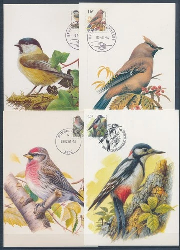 XE60225 Belgium 1994 -2003 animals fauna flora birds maxicards used