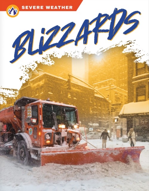 Blizzards by Sharon Dalgleish (Hardback Book)