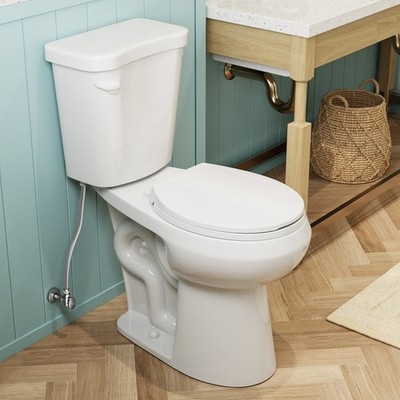 HOROW 19 Inch Two Piece Toilet 1.28 Gpf Single Flush For Seniors & Tall Person