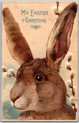My Easter Greeting Rabbit Bunny 1912 Antique Embossed Postcard Pussy Willow