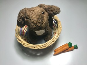 american girl nutmeg