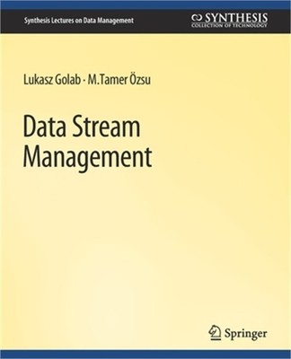 Data Stream Management (Paperback or Softback)