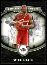 2008-09 Topps Treasury 84 Ben Wallace Cleveland Cavaliers Basketball Card