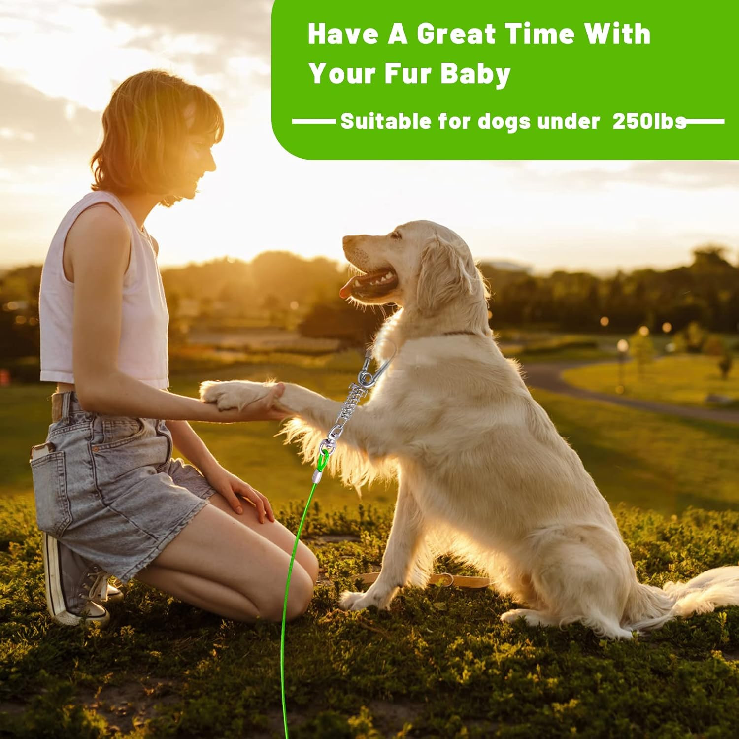 Dog Tie Out Cable 10/15/20/25/30FT Dog Run Cable Rosy Pink/Blue/Purple/Silver/Re