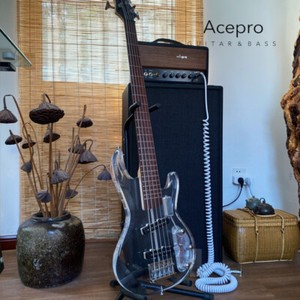 Acepro Guitars | eBay Stores