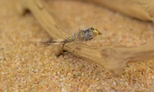 12 Flies BH Natural Hares Ear Mayfly Nymph Flies - Mustad Signature Fly Hook