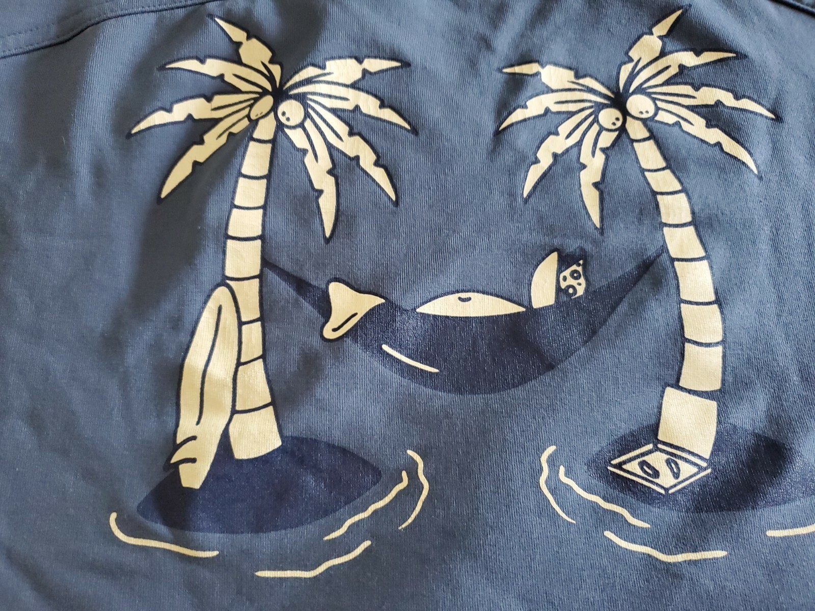 Picture 4 of 10