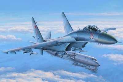 Hobby Boss 1/48 Su-27 Flanker Early Plastic Model Kit 81712