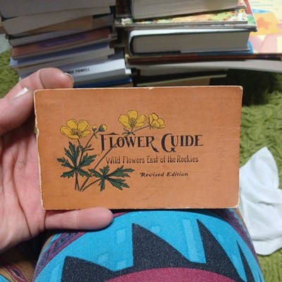 Flower Guide, Wild Flowers East of the Rockies by Chester A. Reed 1907, Vintage
