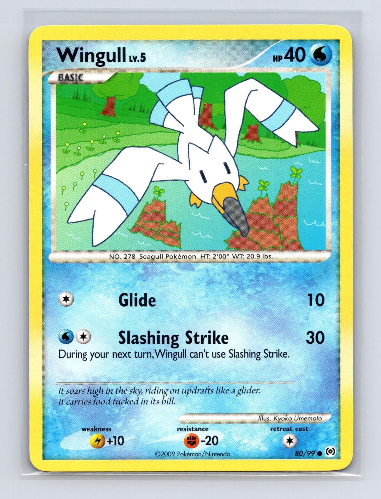 Wingull 80/99 Common 2009 Arceus LP