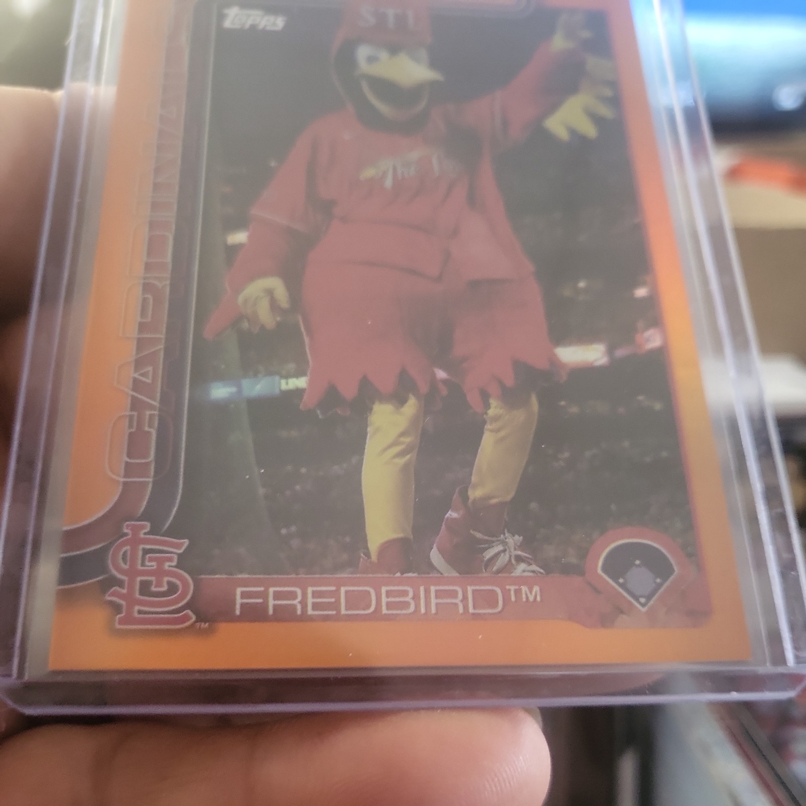 Picture 5 of 5