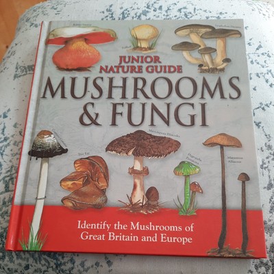 JUNIOR NATURE GUIDE book MUSHROOOMS & FUNGI Identify the Mushrooms of Great Bri.