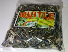 Jacobina Herbs Spicigera Firecracker Bush Moyotle Jacobina Hierba/Te