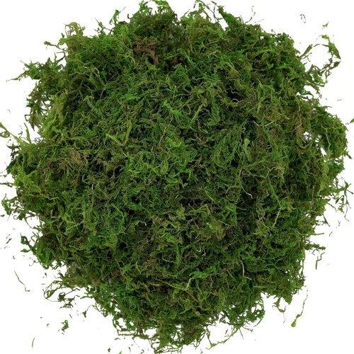 Usmola Fake Moss Artificial Green Moss for Potted Plants Fairy Garden Access - Picture 3 of 7