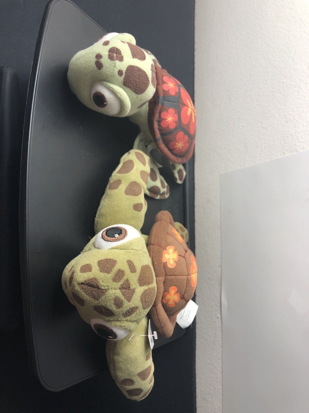 Picture 17 of 24