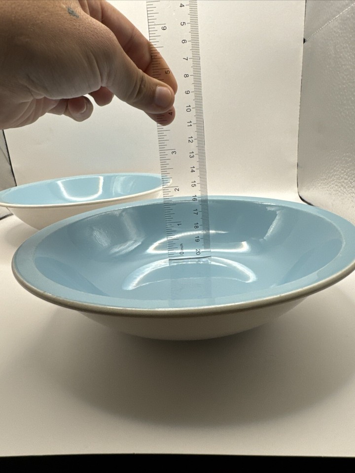 Set Of 2 Vintage MIKASA CeraStone Blue Fruit Cereal Bowls 7.25” Japan