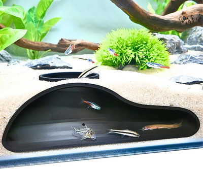 Aquarium Underground Tunnel Cave Natural Curve | Viewing Fish & Shrimp under Gra