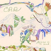 Chris Robinson Broth - Barefoot In The Head - Vinyl Record - G4Z