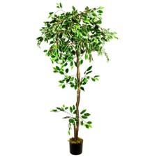 Ficus Benjamin Kunstpflanze Künstliche Pflanze Weiß mit Echtholz 160cm Decovego