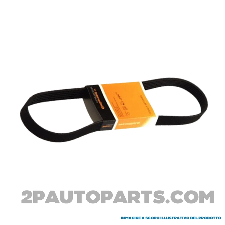 Set Cadena Distribución Completo Opel Astra G H Corsa C D Agila Meriva 1.2 1.4 - Imagen 4 de 4