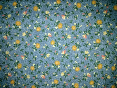 RJR Fabrics Thimbleberries #5937 Fancy Free Poplin 100% Cotton Fabric BTY