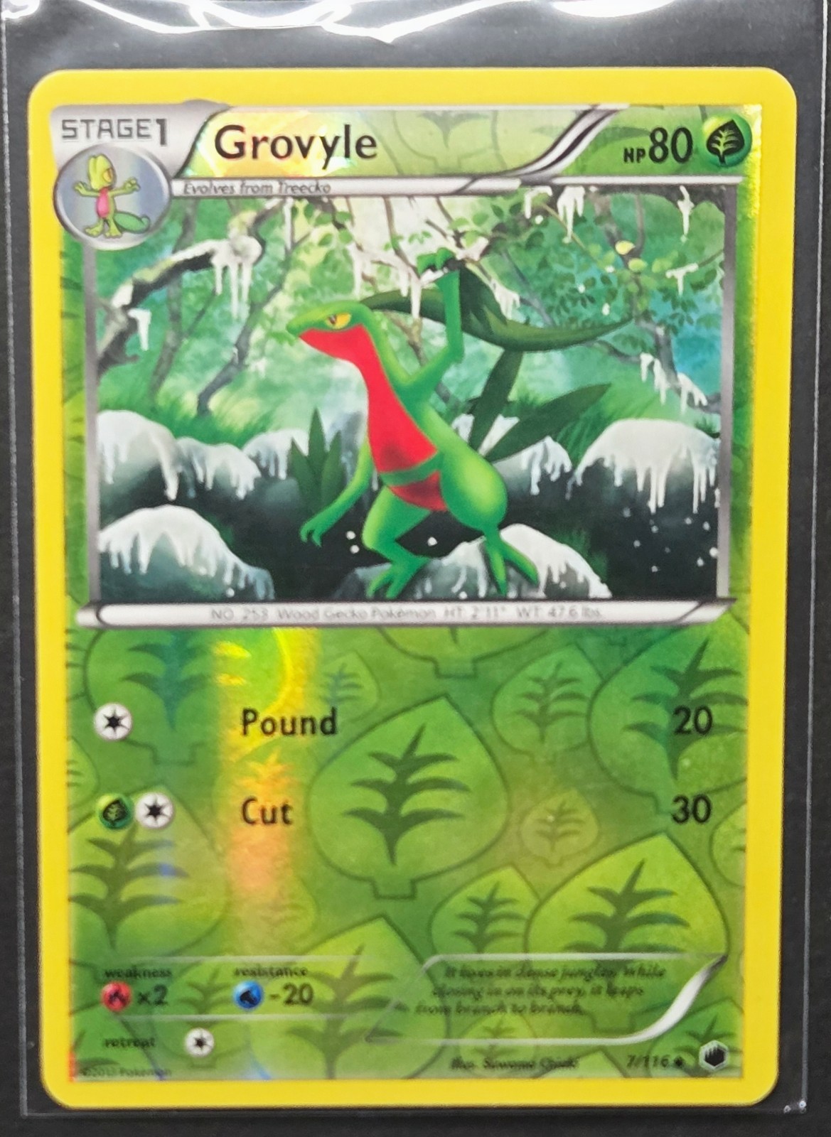 Grovyle 7/116 Plasma Freeze Reverse Holo Pokémon 2013