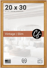 Craig Frames 314GD, Ornate Gold Picture Frame, 8.5 X 11 Inch