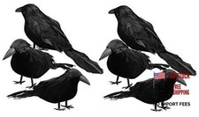 6 Pack Halloween Black Feathered Crows - Realistic Bird Decorations