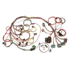 Painless 650 Standalone Engine Harness For 92-97 Gm Chevy Lti 4l60e 60502