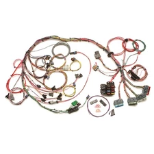 Painless 650 Standalone Engine Harness for 92-97 GM Chevy LTI 4L60E 60502