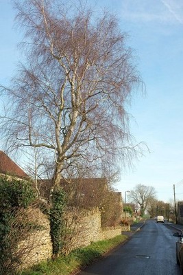 Foto 6x4 Littleton Drew Road, Acton Turville weiter entlang der Straße aufgenommen c2016
