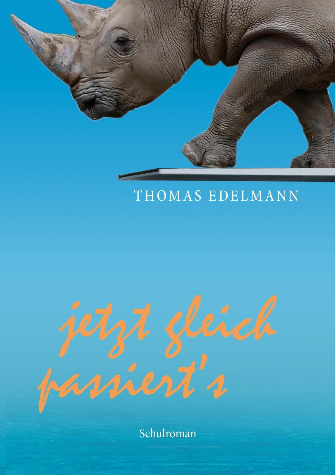 Jetzt Gleich Passiert¿s Schulroman Thomas Edelmann Taschenbuch
