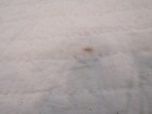 Foto 13 di 15