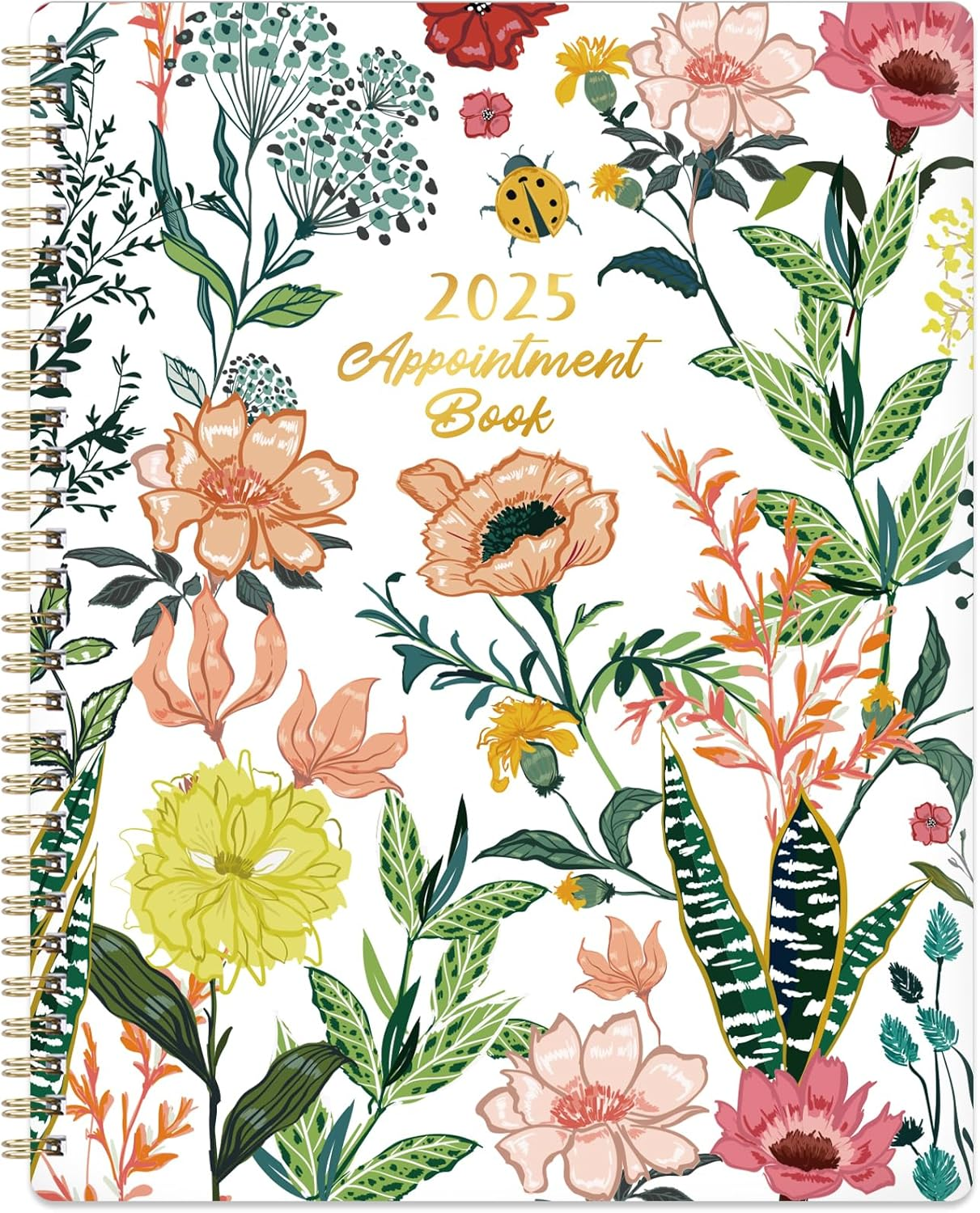 2025 Appointment Book/Planner - 2025 Daily Hourly Planner, Jan 2025 - Dec 2025,