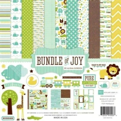 Baby Boy Blue Newborn Bundle of Joy Welcome 12 x 12 Echo Park Scrapbook Page Kit