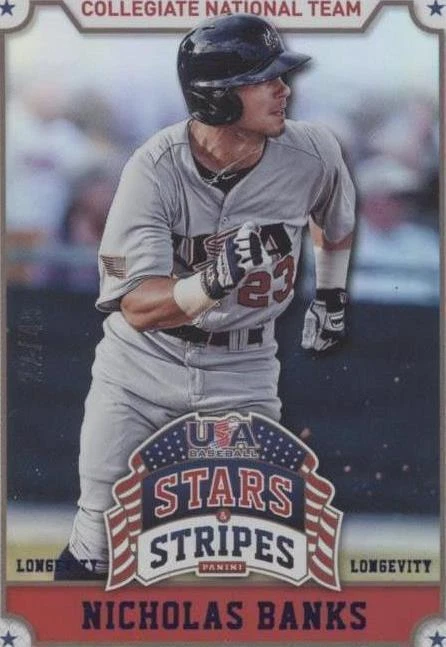 Longevity Parallel Sapphire