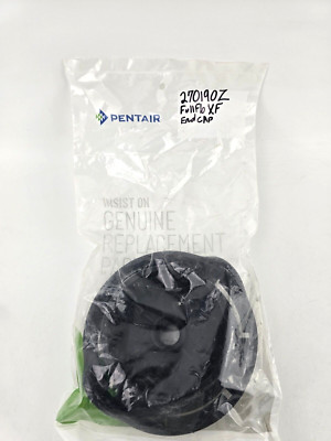 Genuine Pentair 270190Z End Cap Valve Replacement FullFlo XF