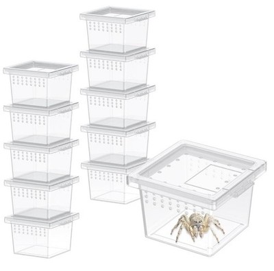 10 Pcs Mini Spider Terrarium Breeding Box, Transparent Plastic Jumping Spider