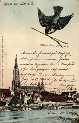 Ak Ulm an der Donau, Vogel, Ulmer Münster, Stadtansicht, Wasser,  - 4989125