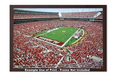Alabama Crimson Tide Bryant-Denny Football Stadium Field Photo Print Pr4 CHOICES