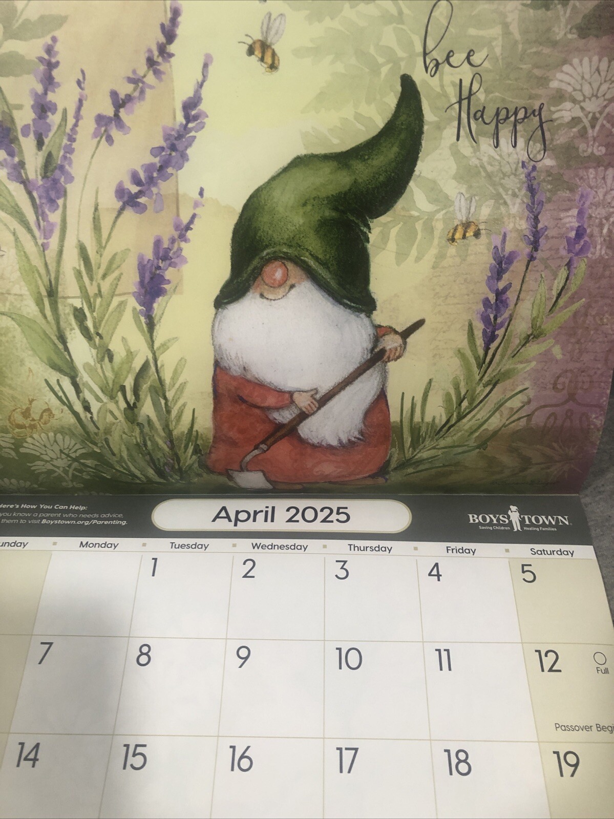 Picture 15 of 17