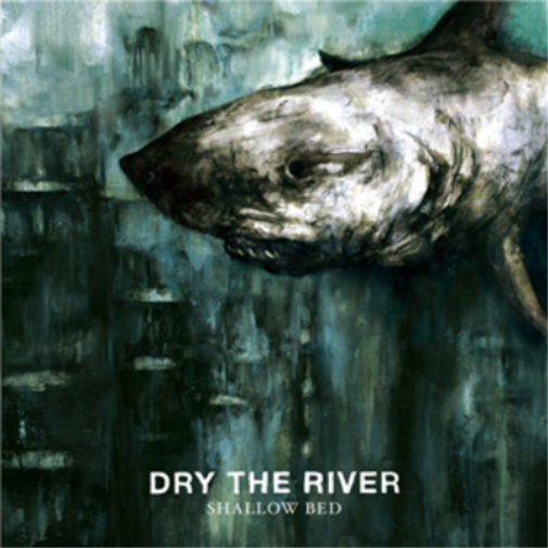 Dry the River Shallow Bed (CD) Album