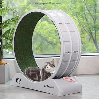 CAT TREADMILL Exercise Wheel Treadmill Indoor Running Wheel White Green NEW