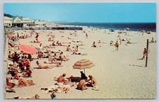 On the Beach Will Rogers Beach State Park Santa Monica CA Postcard