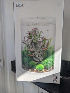 biOrb 45955 Tube 30 MCR Aquarium White 30L
